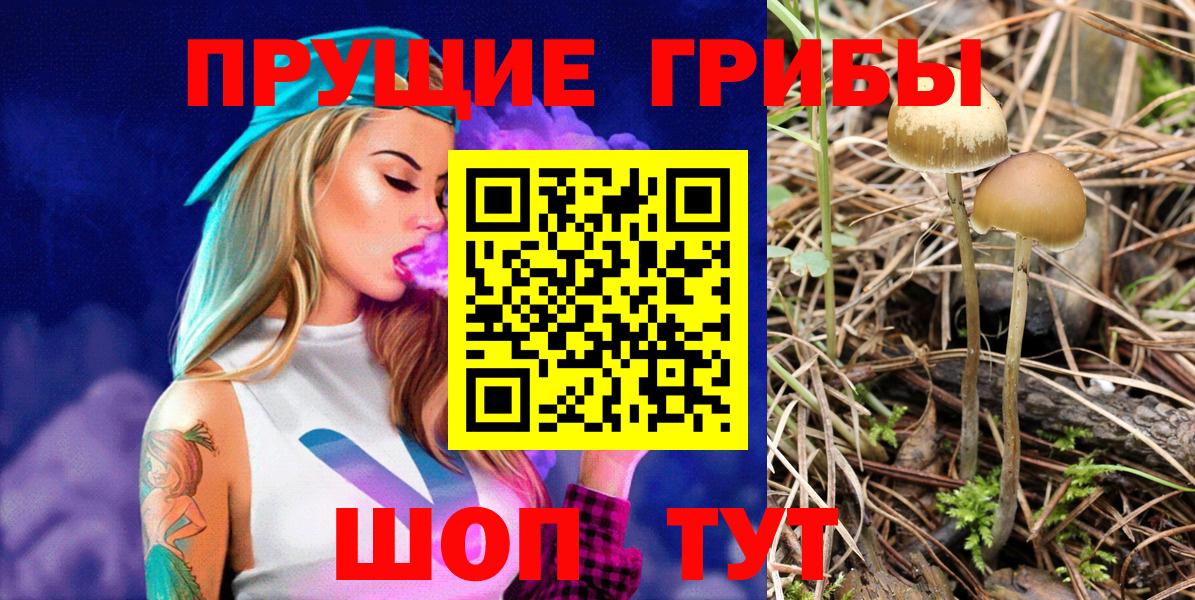 Жигулёвск  Псилоцибиновые грибы прущие грибы  Вход с VPN 